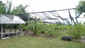 Land for sale in Ban Kat, Chiang Mai