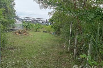 Land for sale in Ban Kat, Chiang Mai