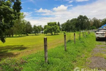 Land for sale in Pa Pong, Chiang Mai