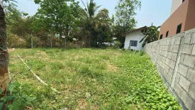 Land for sale in Nong Chom, Chiang Mai