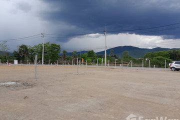 Land for sale in Doi Kaeo, Chiang Mai