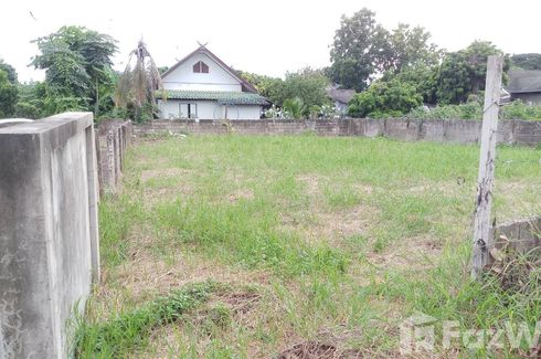 Land for sale in Nong Kaeo, Chiang Mai