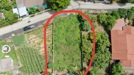 Land for sale in Nong Kaeo, Chiang Mai