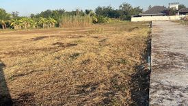 Land for sale in San Klang, Chiang Mai