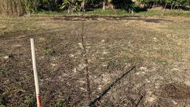 Land for sale in San Klang, Chiang Mai