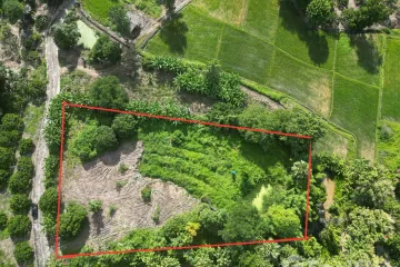 Land for sale in Khuang Pao, Chiang Mai