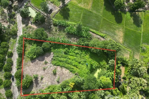 Land for sale in Khuang Pao, Chiang Mai