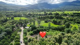 Land for sale in Khuang Pao, Chiang Mai
