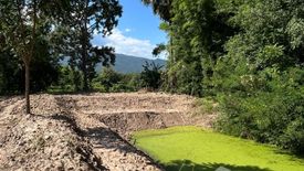 Land for sale in Khuang Pao, Chiang Mai