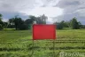 Land for sale in Sa-nga Ban, Chiang Mai