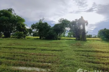 Land for sale in Sa-nga Ban, Chiang Mai