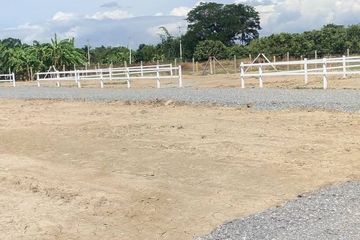 Land for sale in Ban Klang, Chiang Mai