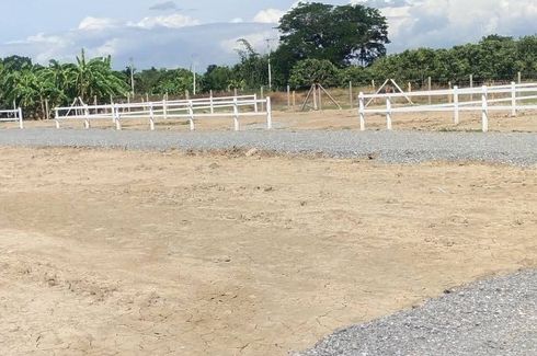 Land for sale in Ban Klang, Chiang Mai