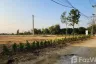 Land for sale in Buak Khang, Chiang Mai