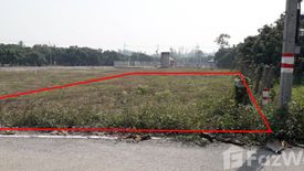 Land for sale in Tha Wang Phrao, Chiang Mai