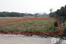 Land for sale in Tha Wang Phrao, Chiang Mai