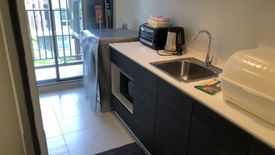 1 Bedroom Condo for rent in D VIENG Santitham, Chang Phueak, Chiang Mai