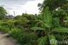 Land for sale in Baan Vipanee View, Ban Waen, Chiang Mai