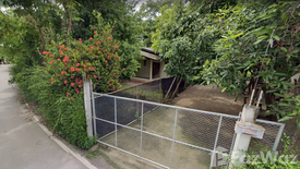 1 Bedroom House for sale in Nong Phueng, Chiang Mai