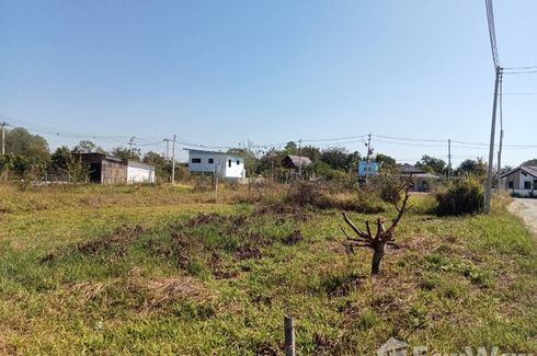 Land for sale in San Pu Loei, Chiang Mai