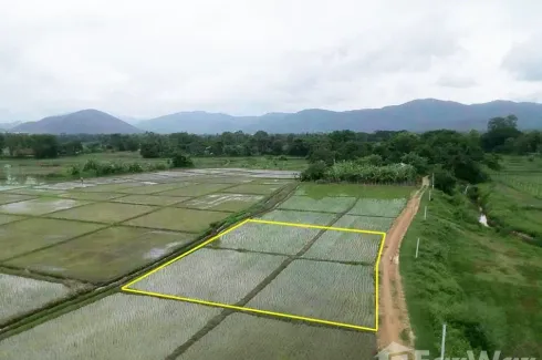 Land for sale in Nong Yaeng, Chiang Mai