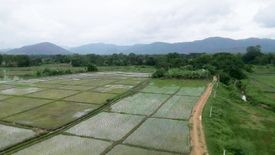 Land for sale in Nong Yaeng, Chiang Mai
