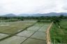 Land for sale in Nong Yaeng, Chiang Mai
