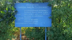 Land for sale in Ban Klang, Chiang Mai