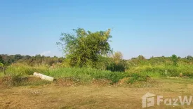 Land for sale in Thung Pi, Chiang Mai