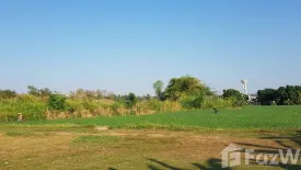 Land for sale in Thung Pi, Chiang Mai