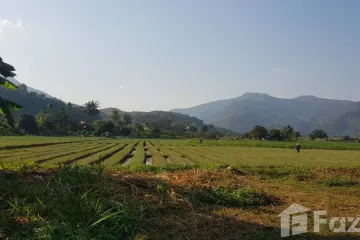 Land for sale in Thung Pi, Chiang Mai