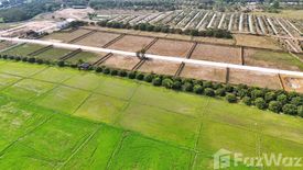 Land for sale in Ban Suan Pak Jai, Khun Khong, Chiang Mai