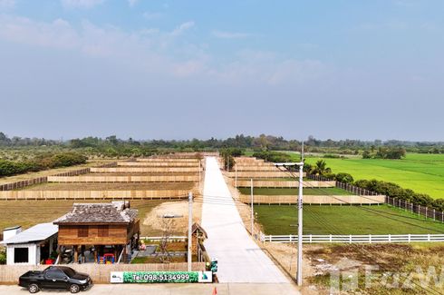 Land for sale in Ban Suan Pak Jai, Khun Khong, Chiang Mai