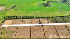 Land for sale in Ban Suan Pak Jai, Khun Khong, Chiang Mai