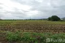 Land for sale in Pa Pong, Chiang Mai