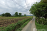 Land for sale in Pa Pong, Chiang Mai