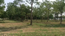 Land for sale in The Nature Home Chiangmai, Han Kaeo, Chiang Mai