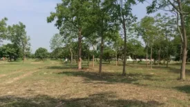 Land for sale in The Nature Home Chiangmai, Han Kaeo, Chiang Mai