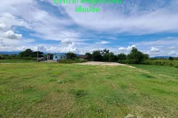 Land for sale in Khuang Pao, Chiang Mai