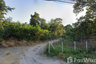 Land for sale in Ban Klang, Chiang Mai