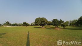 Land for sale in Rong Wua Daeng, Chiang Mai