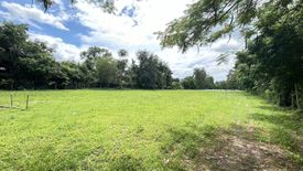 Land for sale in Nam Phrae, Chiang Mai