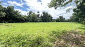 Land for sale in Nam Phrae, Chiang Mai