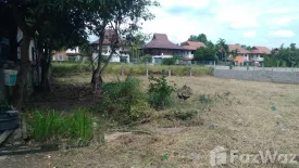 Land for sale in Nong Khwai, Chiang Mai