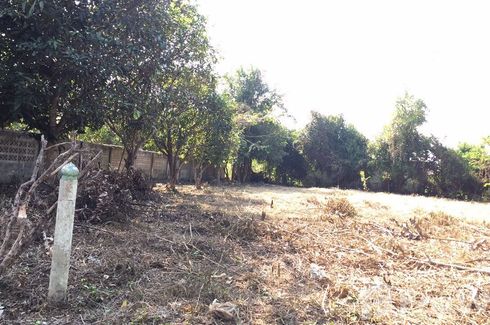 Land for sale in San Klang, Chiang Mai