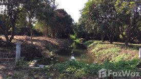 Land for sale in San Klang, Chiang Mai