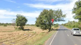 Land for sale in Nong Phluang, Nakhon Ratchasima