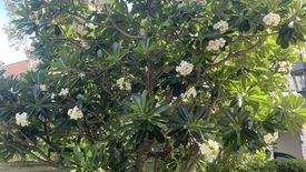 3 Bedroom House for sale in The Elegance Phetkasem 81, Nong Khaem, Bangkok