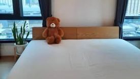 2 Bedroom Condo for sale in The Tree Sukhumvit 71 - Ekamai, Suan Luang, Bangkok near Airport Rail Link Ramkhamhaeng