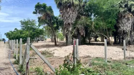 Land for sale in Cha am, Phetchaburi